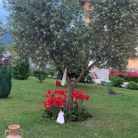 Linda Homestay Shkoder